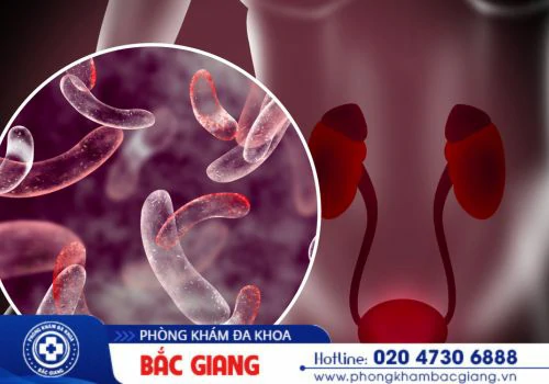 bác sĩ tiết niệu