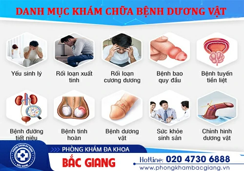 Thông tin các bệnh dương vật ở nam giới