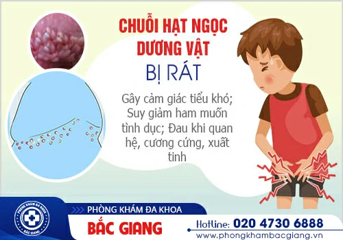 Thông tin các bệnh dương vật ở nam giới