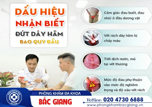 Đứt dây hãm bao quy đầu nguyên nhân do đâu? Có nguy hiểm không?