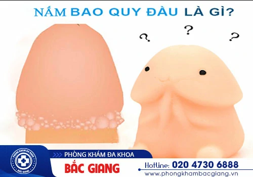 Nấm bao quy đầu: Nguyên nhân, tác hại và cách điều trị