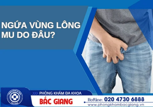 Ngứa vùng lông mu là do đâu?