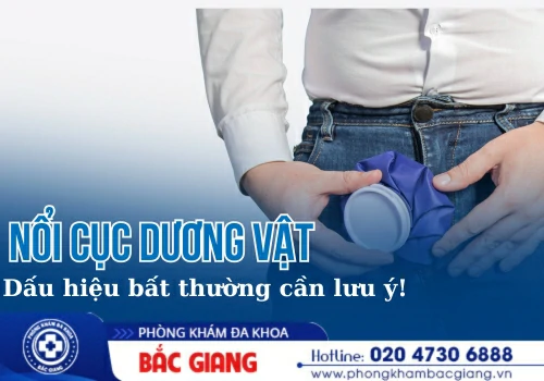 Nổi Cục Dương Vật: Cảnh Báo Bệnh Gì? Khi Nào Cần Thăm Khám?