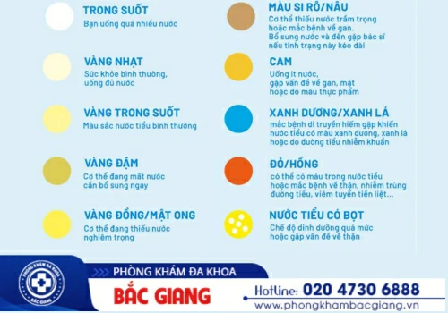 nước tiểu có màu