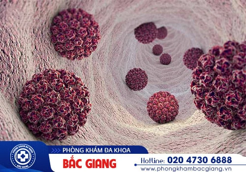 Quy đầu nổi mụn không đơn thuần do thói quen sinh hoạt