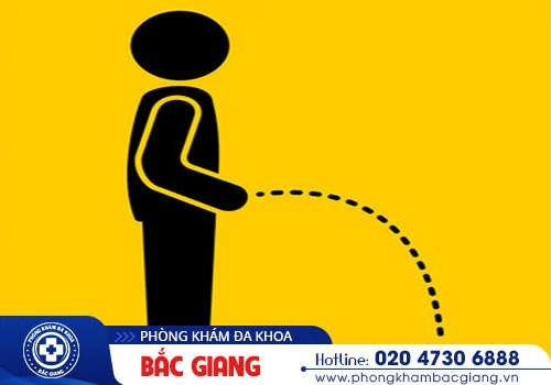 Tại sao phái mạnh lại tiểu rắt?