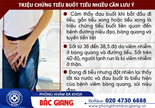 Tiểu buốt, tiếu rát - Triệu chứng điển hình của bệnh lý đường tiết niệu