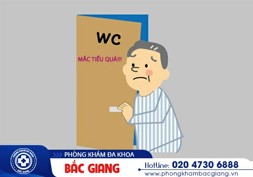 Đi tiểu nhiều là chuyện bình thường hay là dấu hiệu của bệnh lý