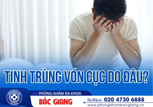 Tinh trùng vón cục Hiểu đúng để bảo vệ sức khỏe sinh sản nam giới