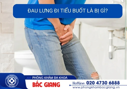 Đau lưng đi tiểu buốt là bị gì?