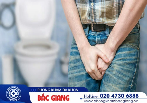 Viêm đường tiết niệu là bệnh gì? Cách điều trị viêm đường tiết niệu cho hiệu quả tối ưu