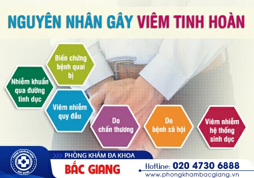 Tìm hiểu nguyên nhân, triệu chứng viêm mào tinh hoàn để phòng ngừa và điều trị bệnh hiệu quả