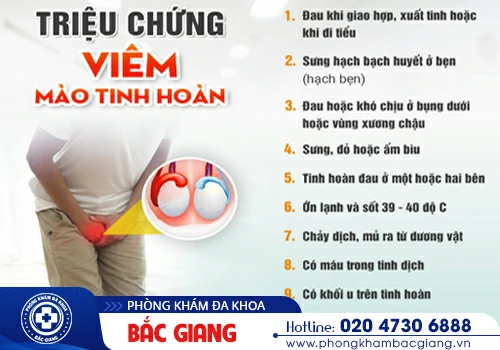 Tìm hiểu nguyên nhân, triệu chứng viêm mào tinh hoàn để phòng ngừa và điều trị bệnh hiệu quả